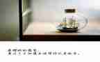 绽放生命的作文参考5篇