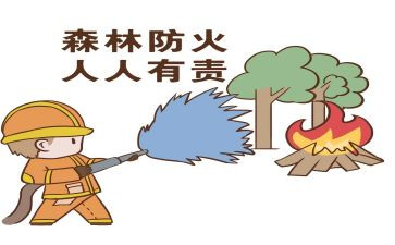 防火体会心得体会优质7篇
