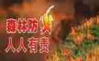 2023防火心得体会优质8篇