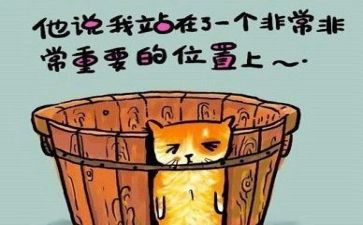 教案通用反思6篇