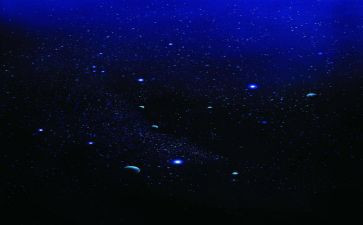 读繁星心得体会5篇