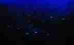 繁星六九读后感最新7篇