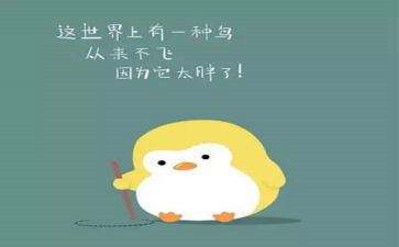 种子化肥购销合同5篇