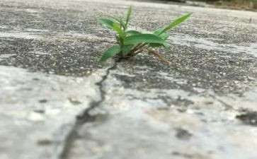 缝隙作文7篇