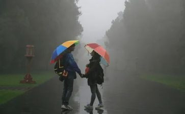 作文《风雨》800字最新5篇