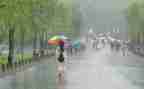 风雨高中作文7篇