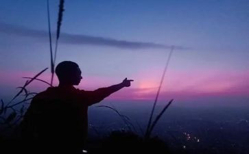 付出与收获的作文800字7篇