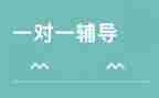 辅导人心得体会5篇