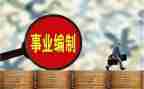 财务科副科长述职报告7篇