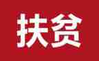 精准扶贫个人工作总结5篇