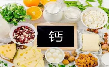骨中的钙读后感参考8篇