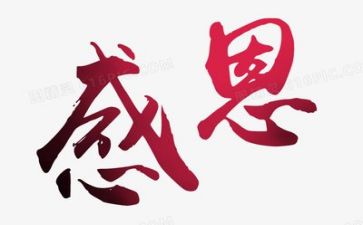 感恩的老师作文800字8篇