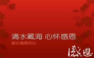 有关感恩心得体会5篇