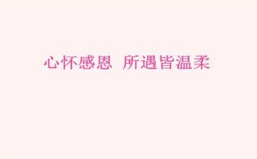 感恩教师演讲稿范文8篇