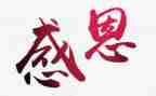 感恩的老师作文800字8篇