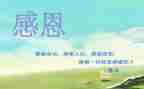 懂感恩心得体会优质8篇