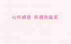 感恩会心得体会优质8篇