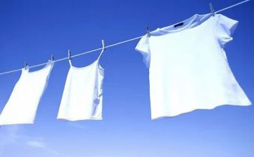 干净整洁户事迹6篇