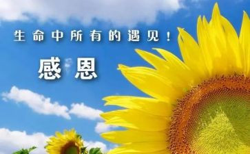 感谢的事作文400字模板5篇
