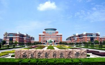 高校教师工作个人总结6篇