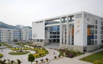 高校个人述职报告6篇