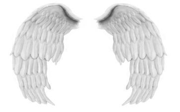 我有一双()的翅膀作文6篇