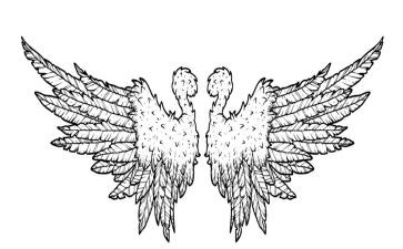 翅膀下的风读后感7篇