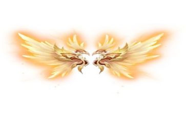 翅膀下的风读后感模板7篇