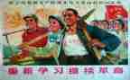 读革命的书读后感5篇