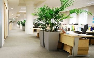 公司培训新心得体会6篇