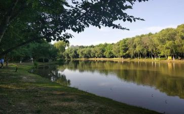 和公园有关的作文5篇