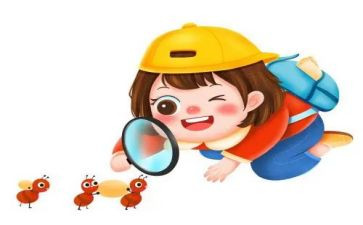 观察类作文600字优质5篇