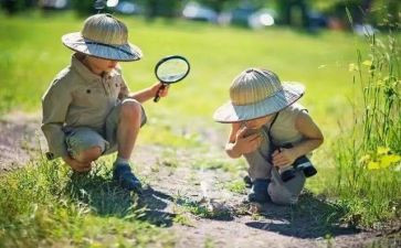 我观察作文600字最新6篇