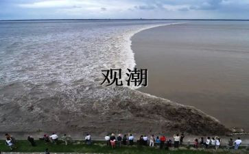 观潮心得体会500字优秀5篇