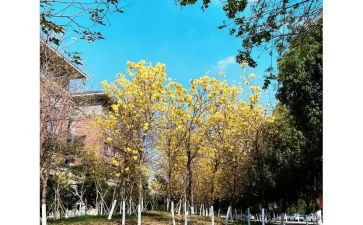 2024高考广东作文范文6篇