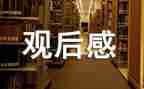 2024年孝心少年观后感400字7篇