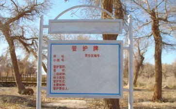 主管护士的述职报告5篇