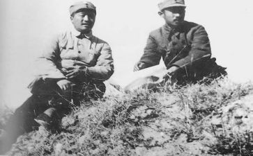 关向应的故事读后感模板5篇