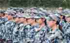 观训个人申请书参考6篇