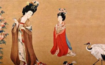 古代猫的故事读后感7篇