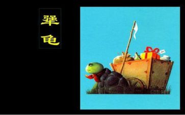 犟龟的教案8篇