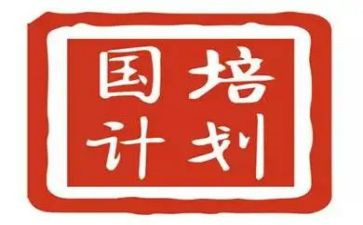 国培计划2024研修总结5篇