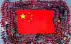 捡国旗的心得体会5篇