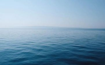 海帝读后感400字作文通用5篇