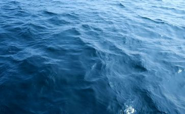 海上的风教案6篇