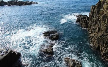 海萍最美公务员先进事迹5篇