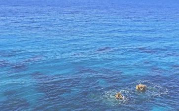 跨越海峡生命桥教案5篇
