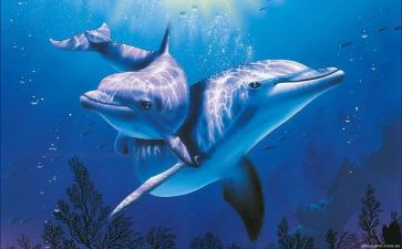 海豚优秀作文5篇