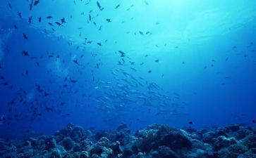 海底两万里的心得体会600字7篇