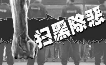 扫除黑恶心得体会8篇